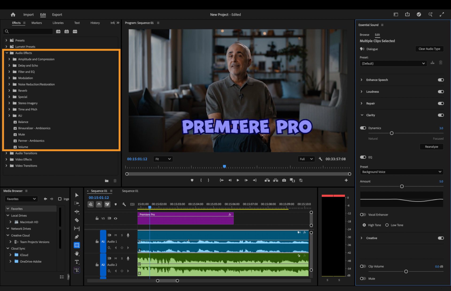 Vista resaltada del panel Audio Effects en Premiere Pro, que muestra categorías expandibles que incluyen Amplitude and Compression, Delay and Echo, Filter and EQ, Modulation, Reverb y otros.
