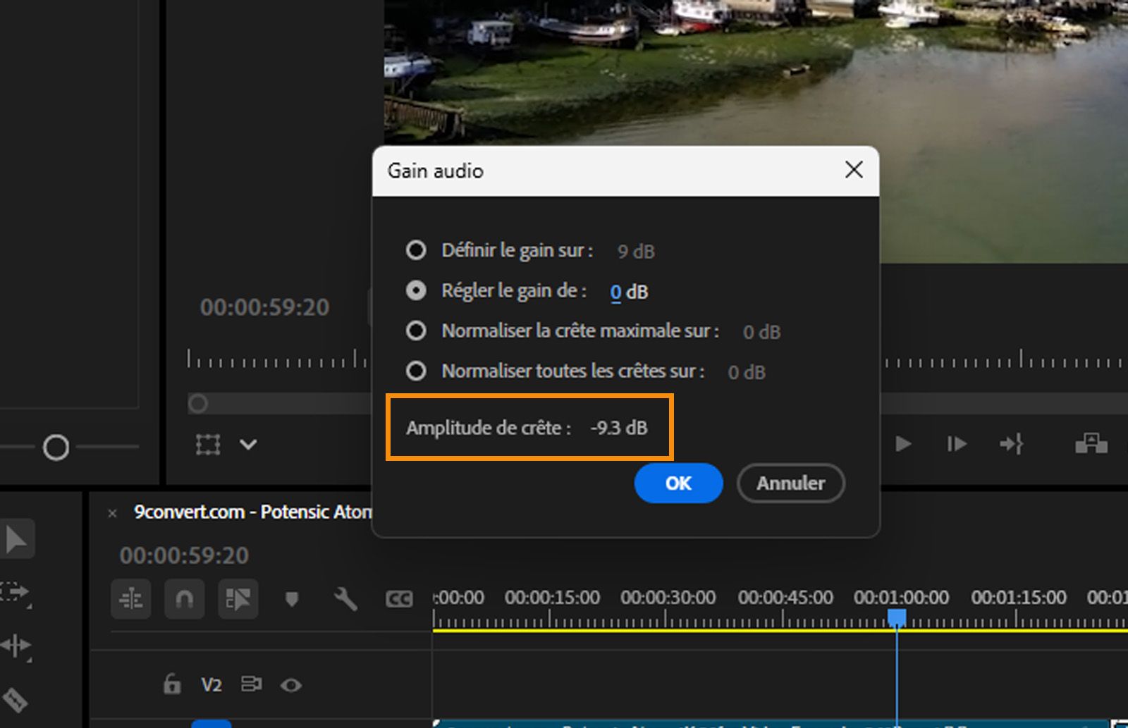 La boîte de dialogue Gain audio est affichée et l’option Amplitude de crête est mise en surbrillance. 