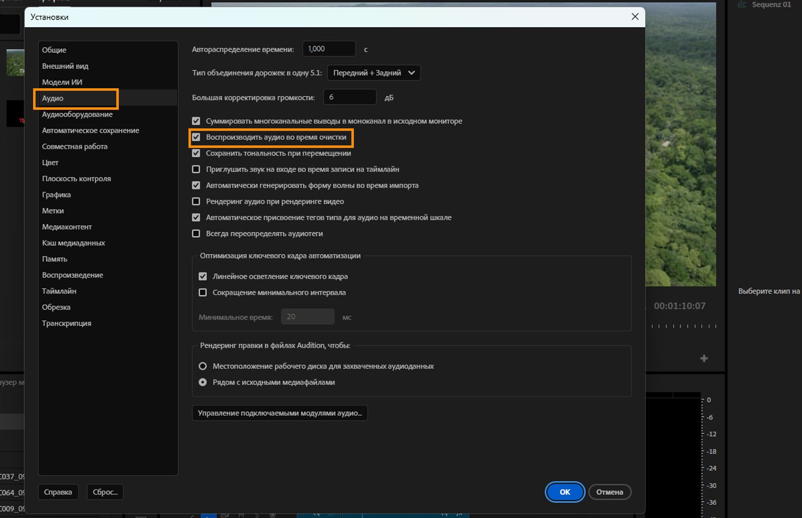 Открыто диалоговое окно «Настройки» для аудио и выделен параметр «Воспроизводить аудио во время перемотки». 