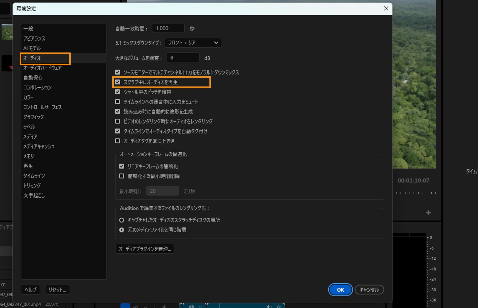 オーディオの環境設定ダイアログが開き、スクラブ中にオーディオを再生するオプションがハイライト表示されます。 
