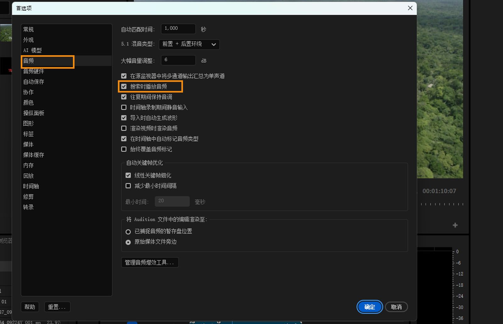 音频的“首选项”对话框已打开，突出显示了“拖动时播放音频”选项。 