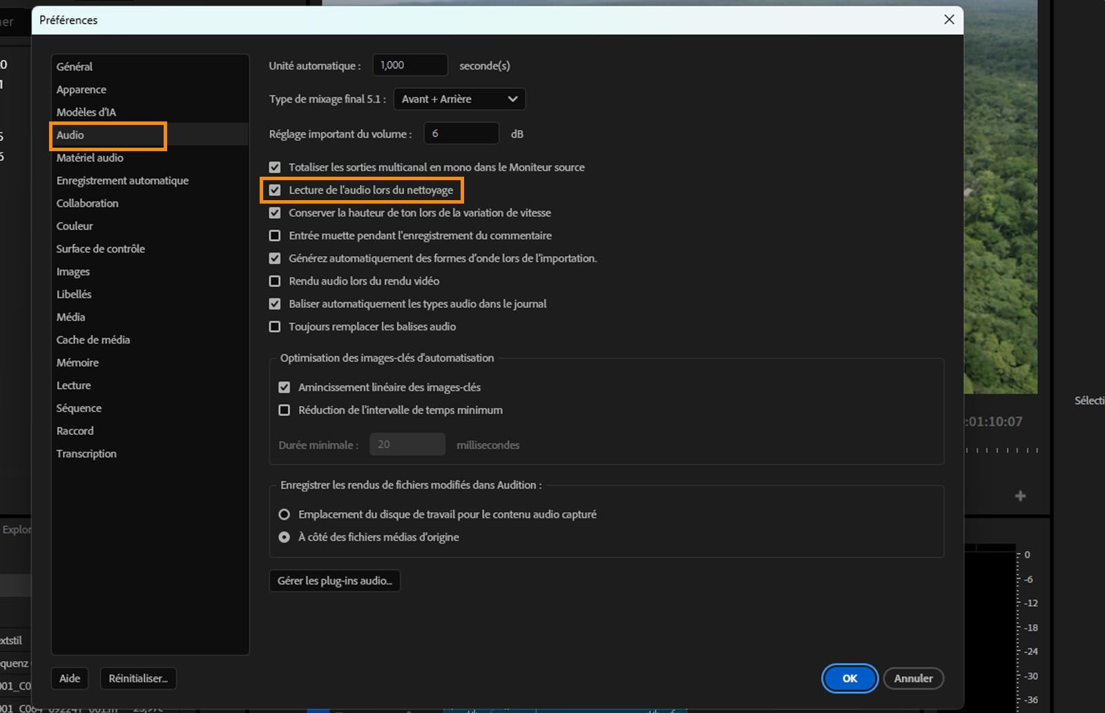 La boîte de dialogue Préférences audio est ouverte et l’option Lire l’audio pendant le défilement est en surbrillance. 