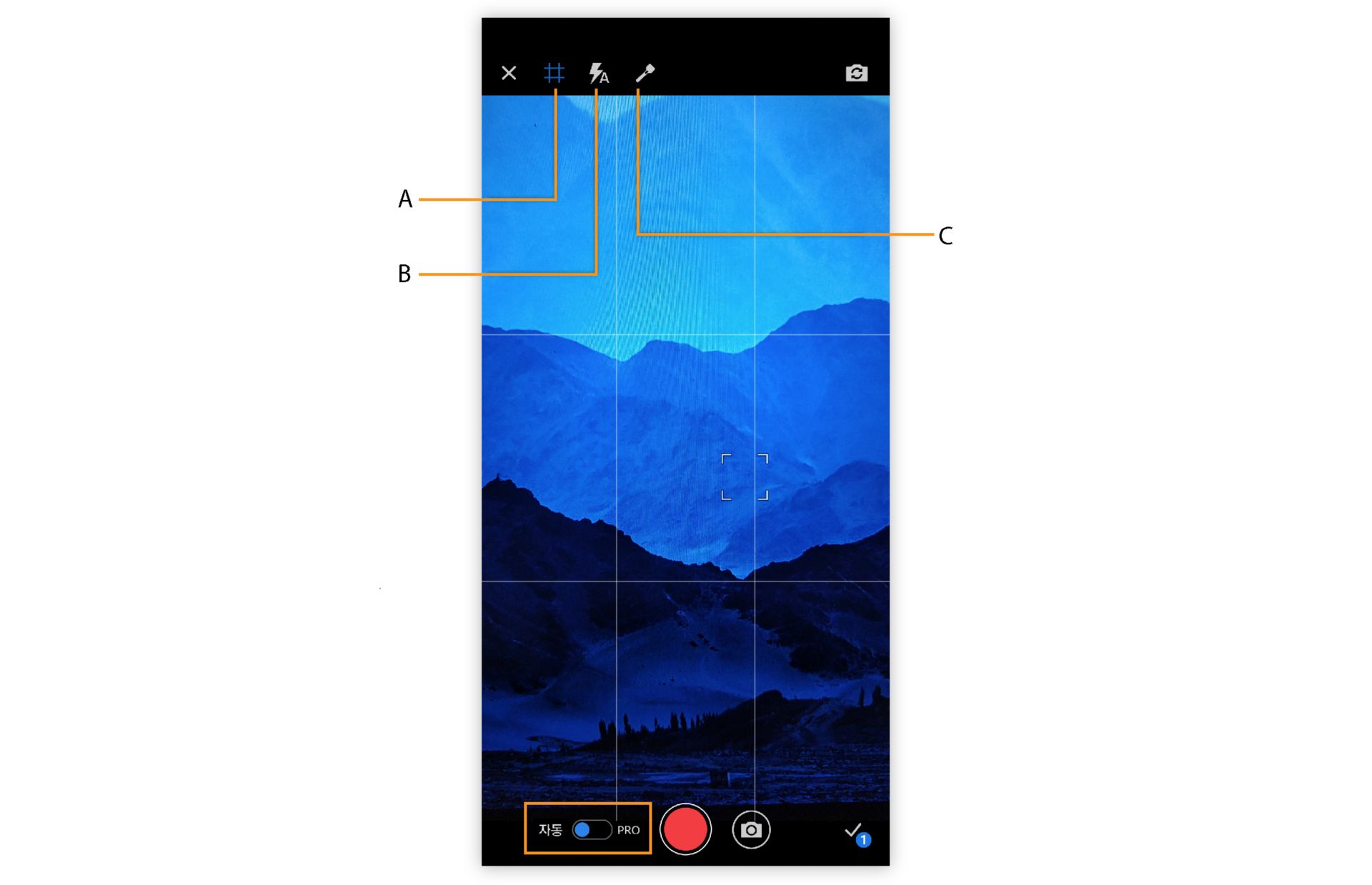 Premiere Rush의 자동 캡처 옵션