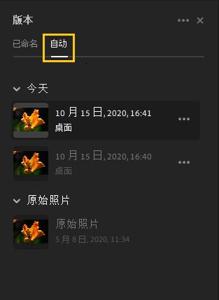 在“自动”选项卡中查找自动版本