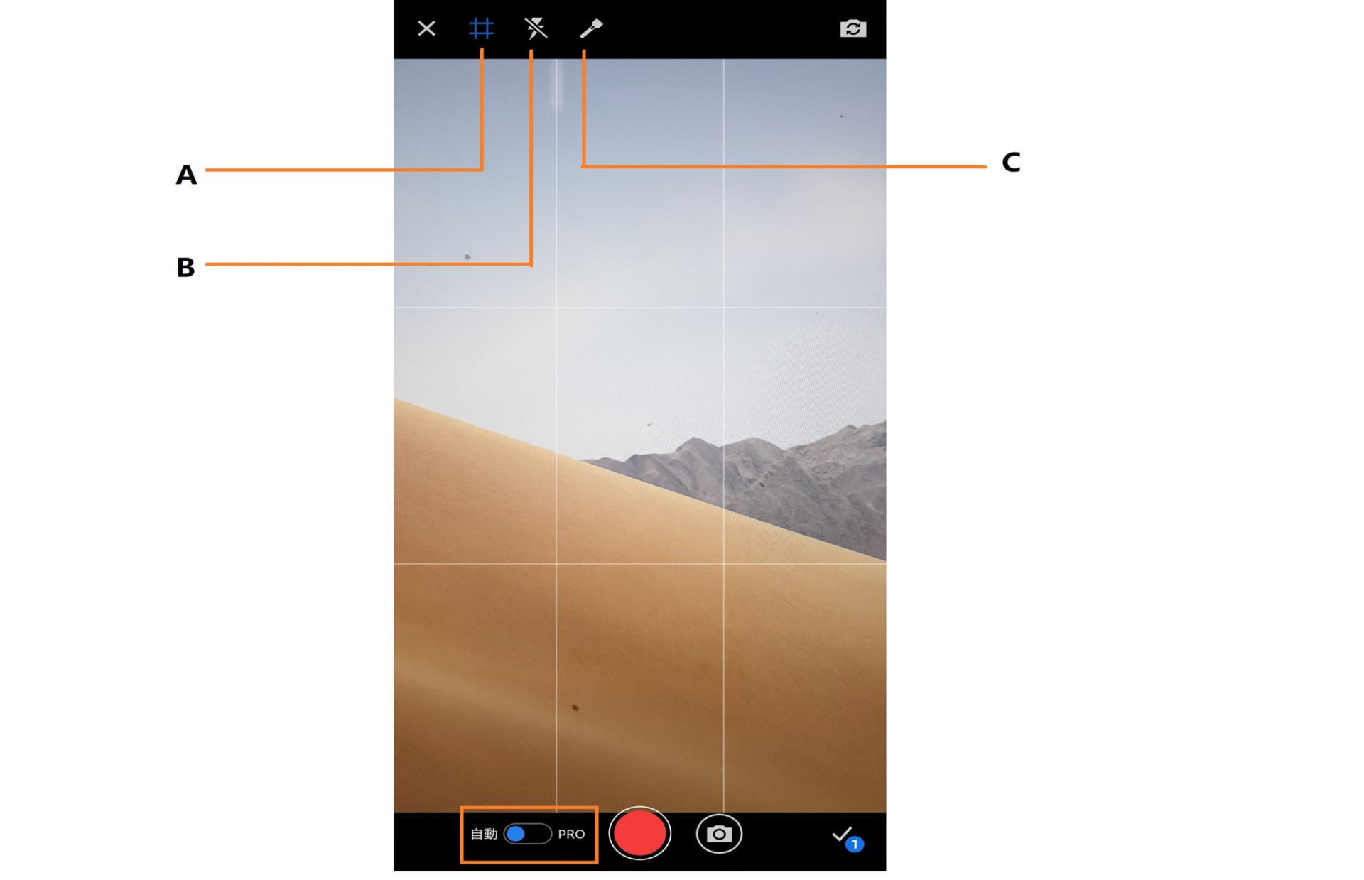 Premiere Rush 的自動擷取選項