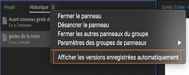 Affichage de l’option des signets automatiques