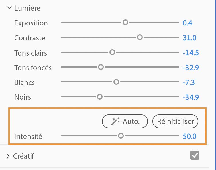 La fonctionnalité Couleur automatique utilise l’échantillonnage d’images pour appliquer des corrections à l’ensemble de l’élément, et pas seulement à l’image actuelle.