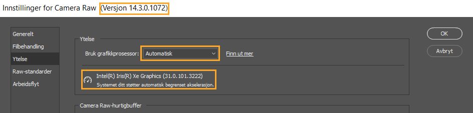 Viktig informasjon fra dialogboksen Preferanser i Camera Raw. Ytelsespreferansene i Lightroom rapporterer den samme informasjonen.