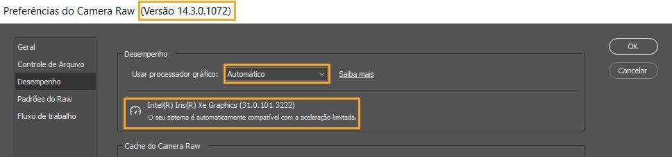 Informações importantes na caixa de diálogo Preferências no Camera Raw. As Preferências de desempenho no Lightroom exibem as mesmas informações.