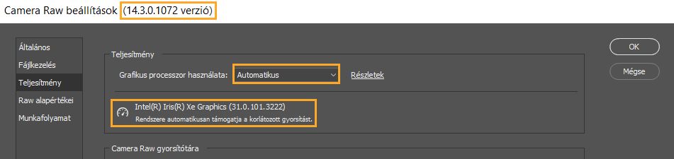 A Beállítások párbeszédpanelen szereplő fontos információk a Camera Raw alkalmazásban. A Lightroom teljesítménybeállításai ugyanazokat az információkat tartalmazzák.