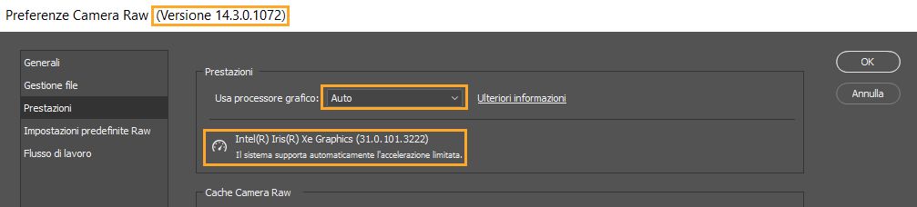 Informazioni importanti dalla finestra di dialogo Preferenze in Camera Raw. Le preferenze delle prestazioni in Lightroom riportano le stesse informazioni.