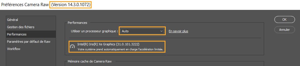 Informations importantes de la boîte de dialogue Préférences dans Camera Raw. La section Préférences de performances fournit les mêmes informations dans Lightroom.