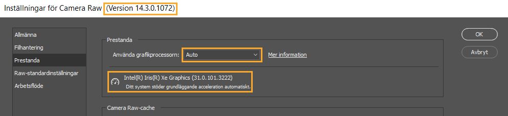 Viktig information från dialogrutan Inställningar i Camera Raw. Prestandainställningarna i Lightroom rapporterar samma information.