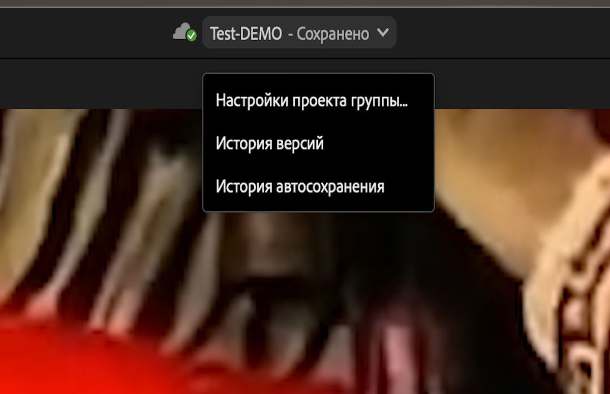 Пользовательский интерфейс отображает настройки, историю версий и автосохранений проектов группы, открытых через верхнюю панель Premiere Pro.