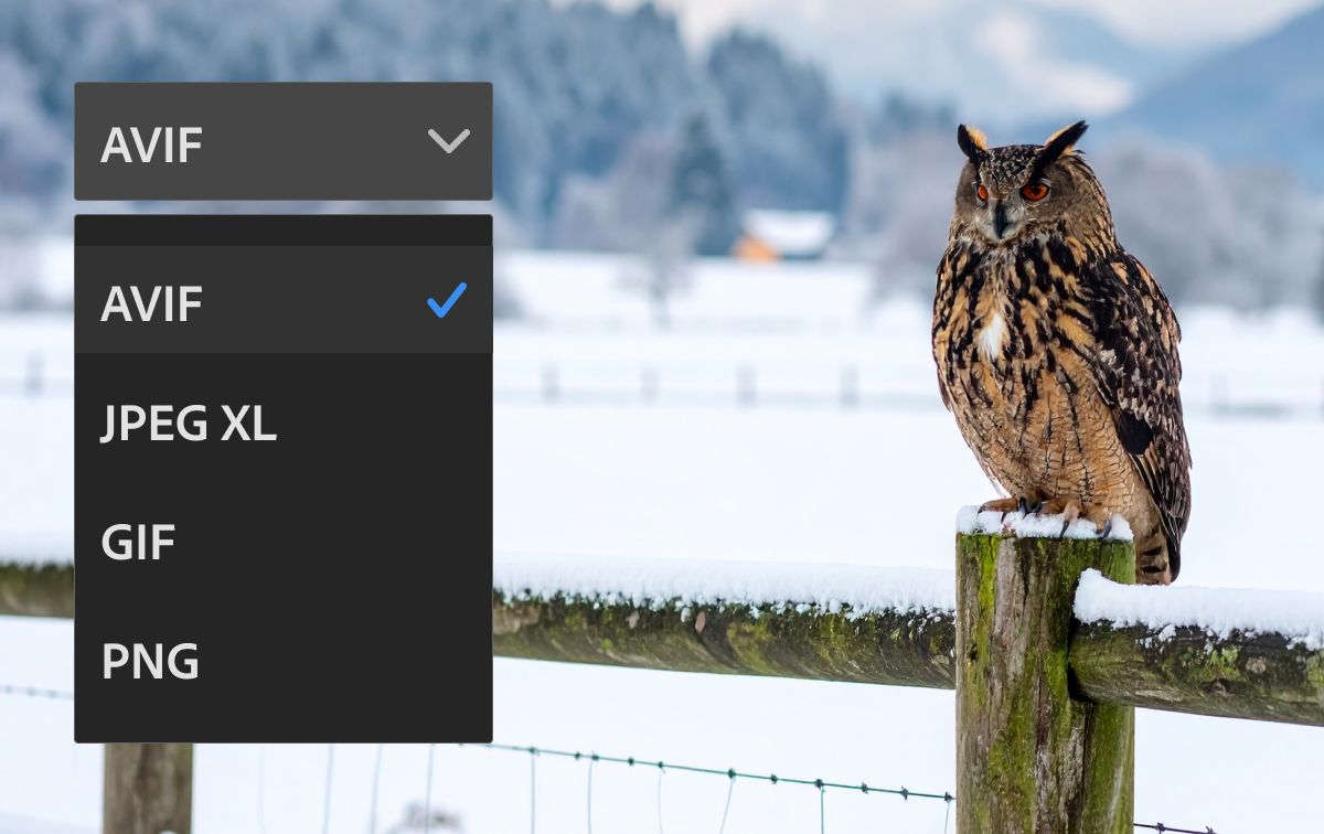 Sarjakuvamainen kuva hylkeestä aurinkolaseissa lautasella