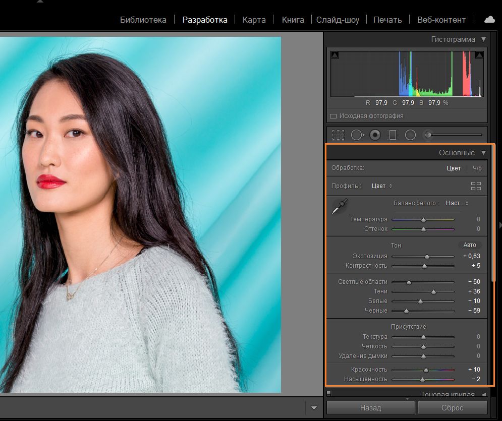 Панель «Основные» модуля «Разработка» в Lightroom Classic
