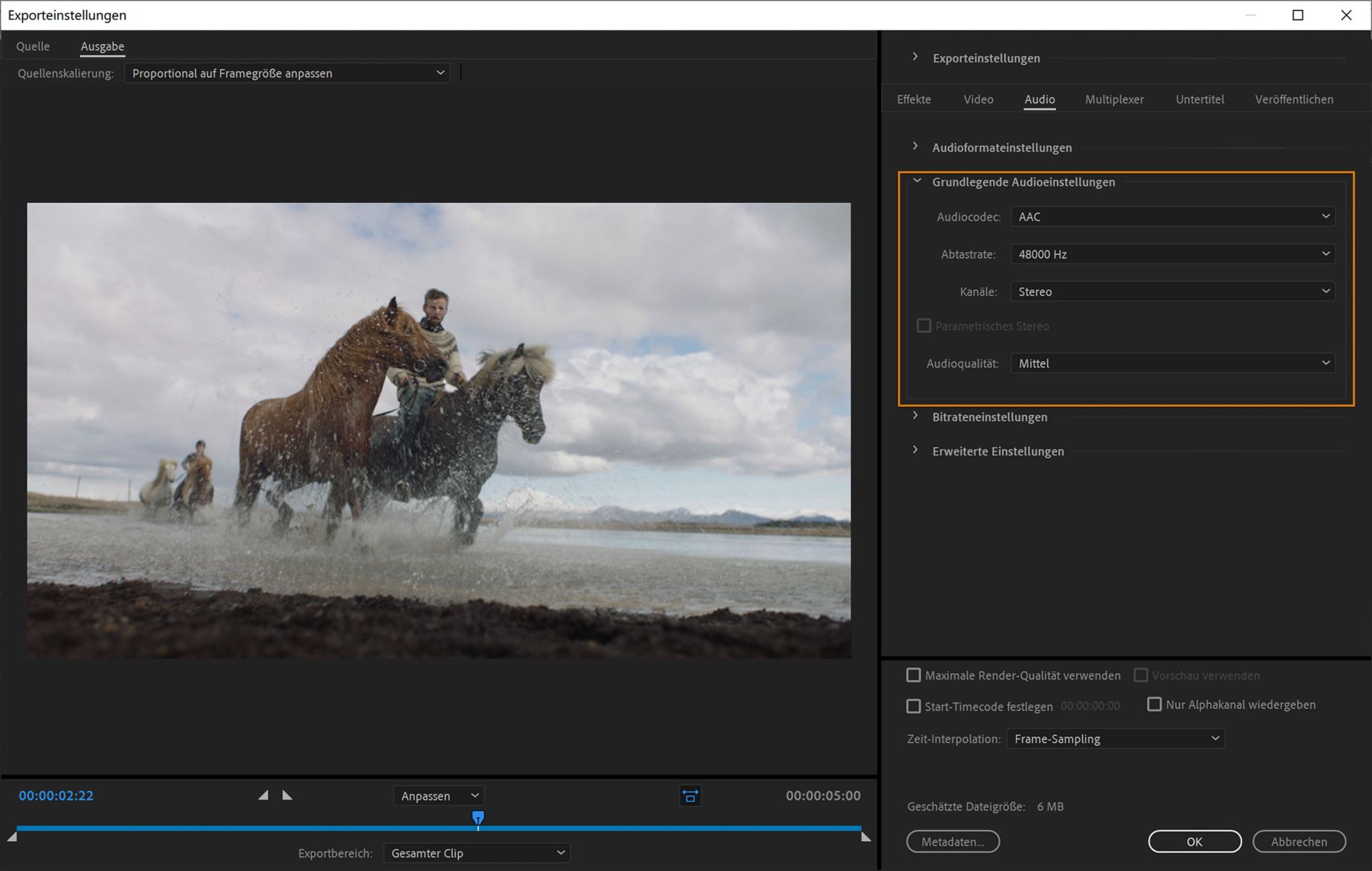 Grundlegende Audioeinstellungen
