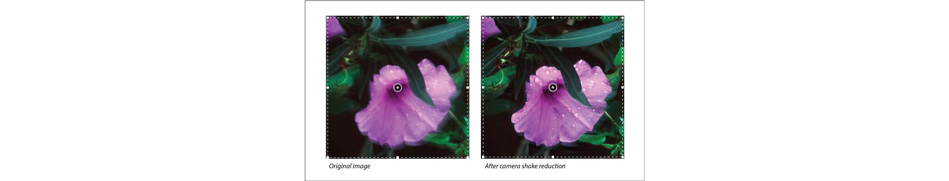 Photoshop Reduce camera shake