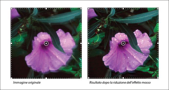 Ridurre l’effetto mosso in Photoshop