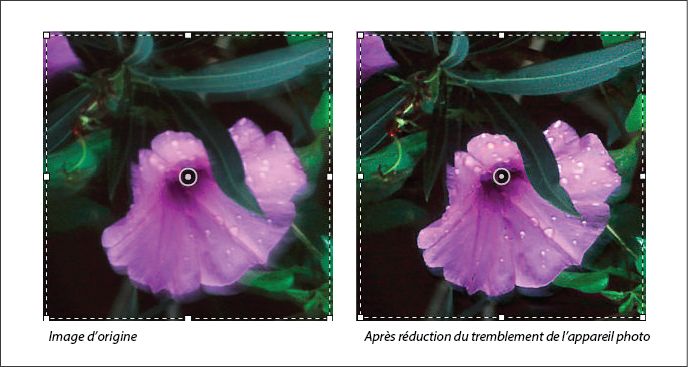 Réduction du tremblement de l’appareil photo dans Photoshop