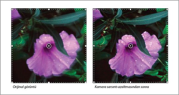 Photoshop Kamera sarsıntısını azaltma