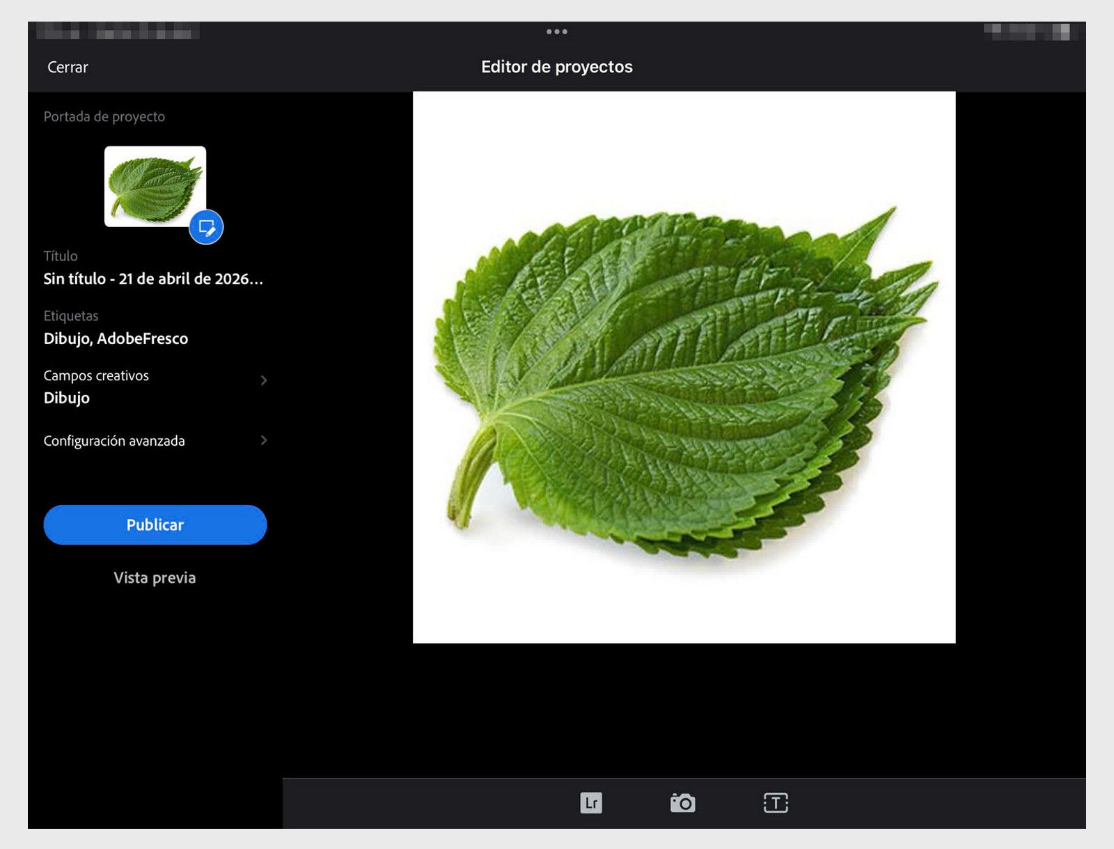 Editor del proyecto con vista previa del trabajo artístico, título del proyecto y etiquetas, selección de campo creativo y un botón Publicar.