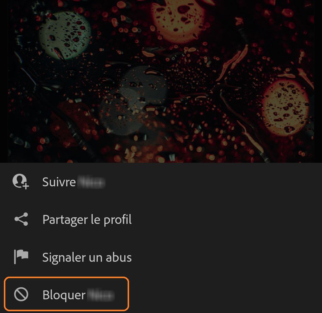 bloquer des auteurs
