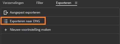 Leer hoe u exporteert naar DNG in Adobe Bridge.