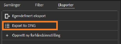 Lær hvordan du eksporterer til DNG i Adobe Bridge.