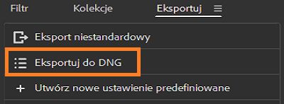 Dowiedz się, jak eksportować do formatu DNG w programie Adobe Bridge.