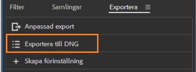 Läs om hur du exporterar till DNG i Adobe Bridge.