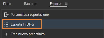 Scoprite come esportare file in formato DNG in Adobe Bridge.