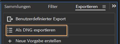 Erfahre, wie du in Adobe Bridge in DNG exportierst.