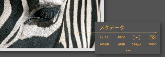 Adobe Bridge CC でのメタデータの処理