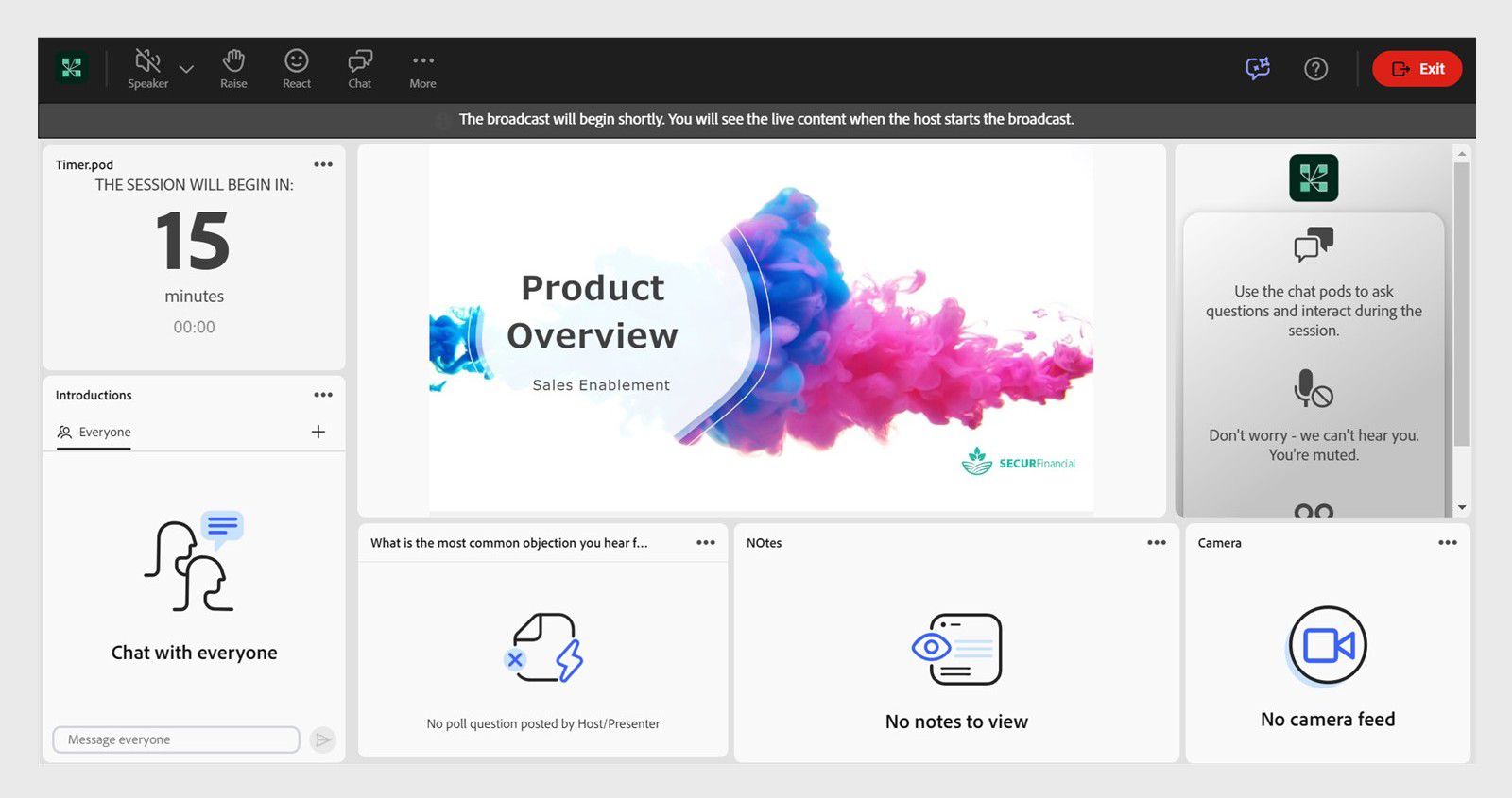  Participant view before the session