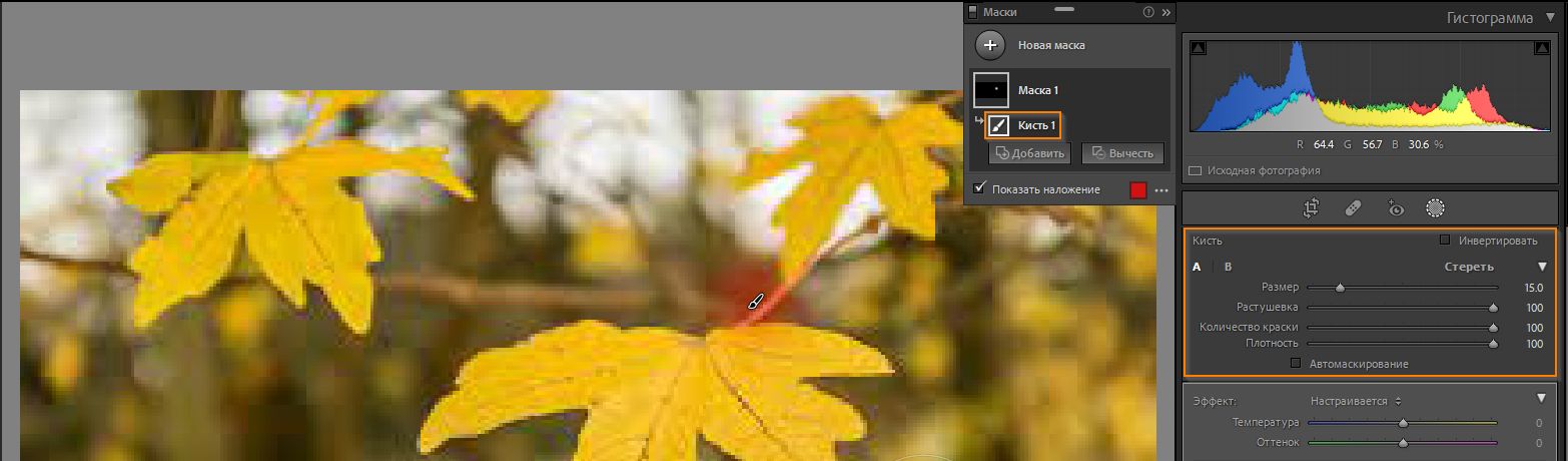 Кисть (маскирование).