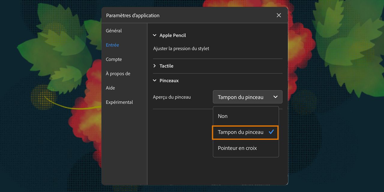 Activation de l’aperçu du tampon du pinceau