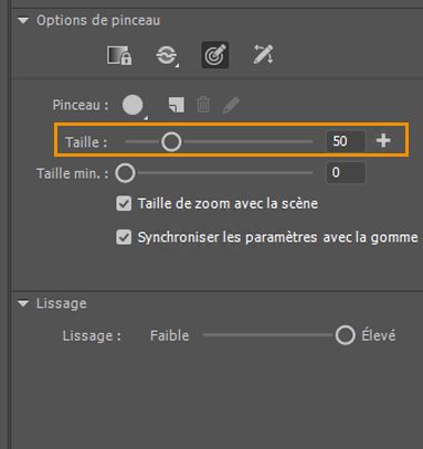 Taille du pinceau