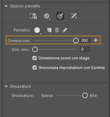 Dimensione pennello