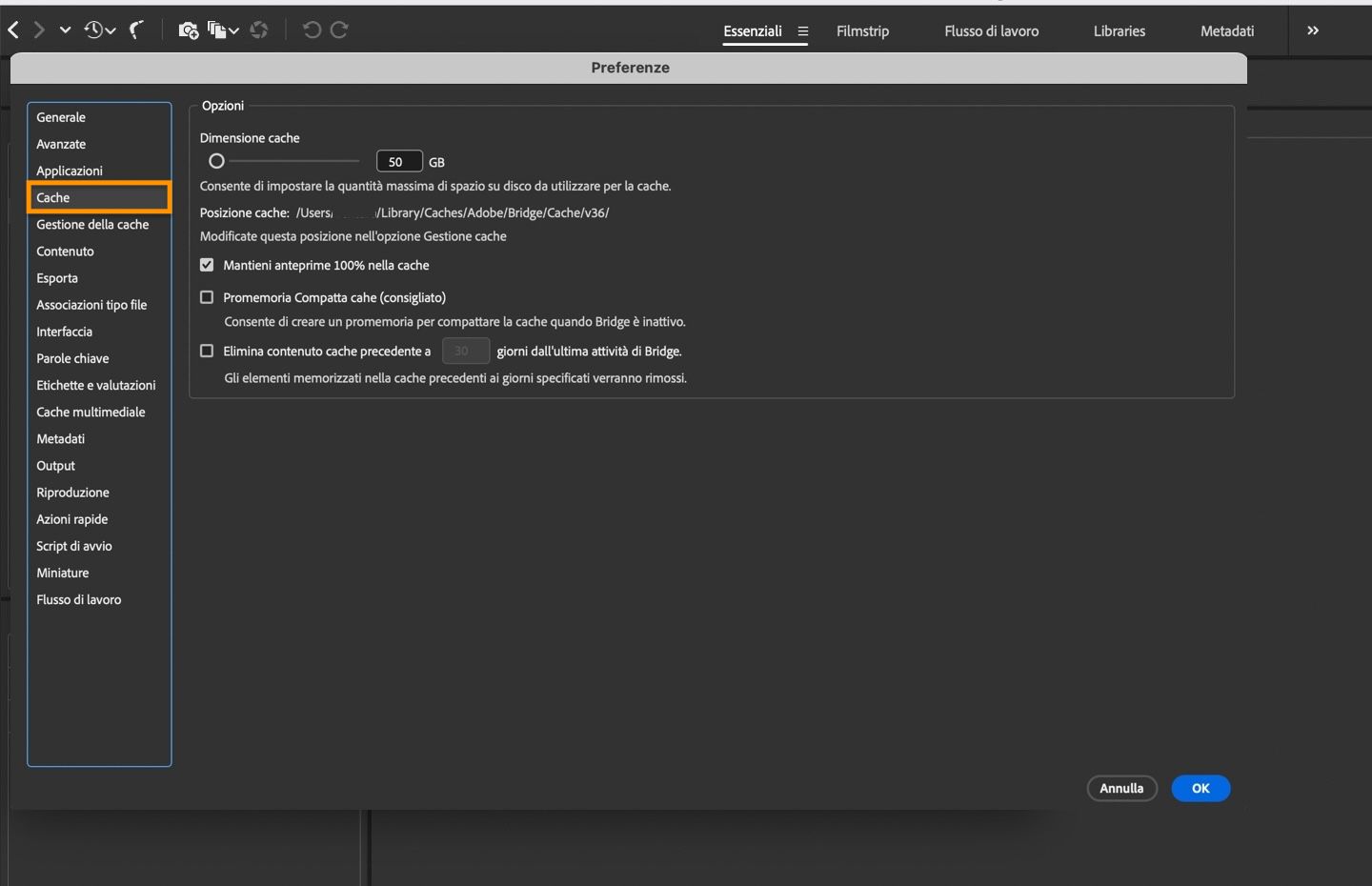 La finestra di dialogo Preferenze cache viene visualizzata sullo schermo con l'opzione per impostare le dimensioni della cache, eliminare la cache e altro ancora.