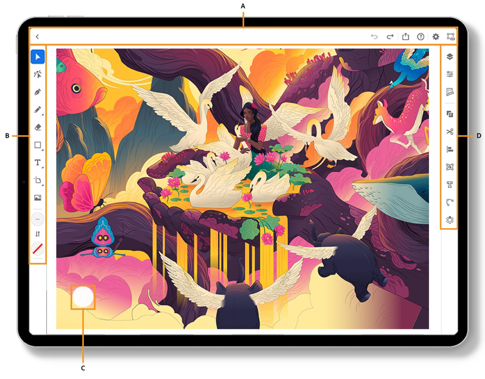 Illustrator sur iPad