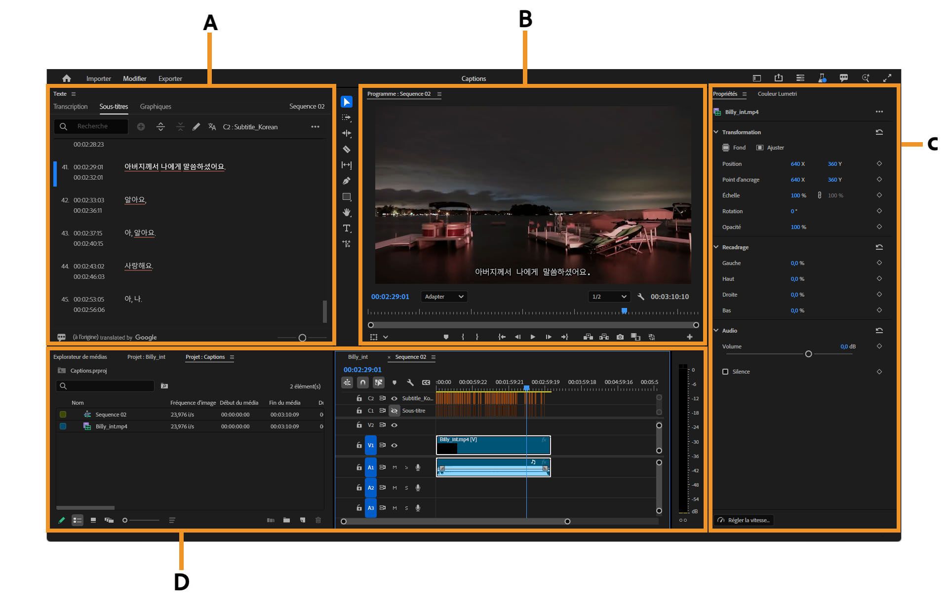 Éléments de l’espace de travail Sous-titres