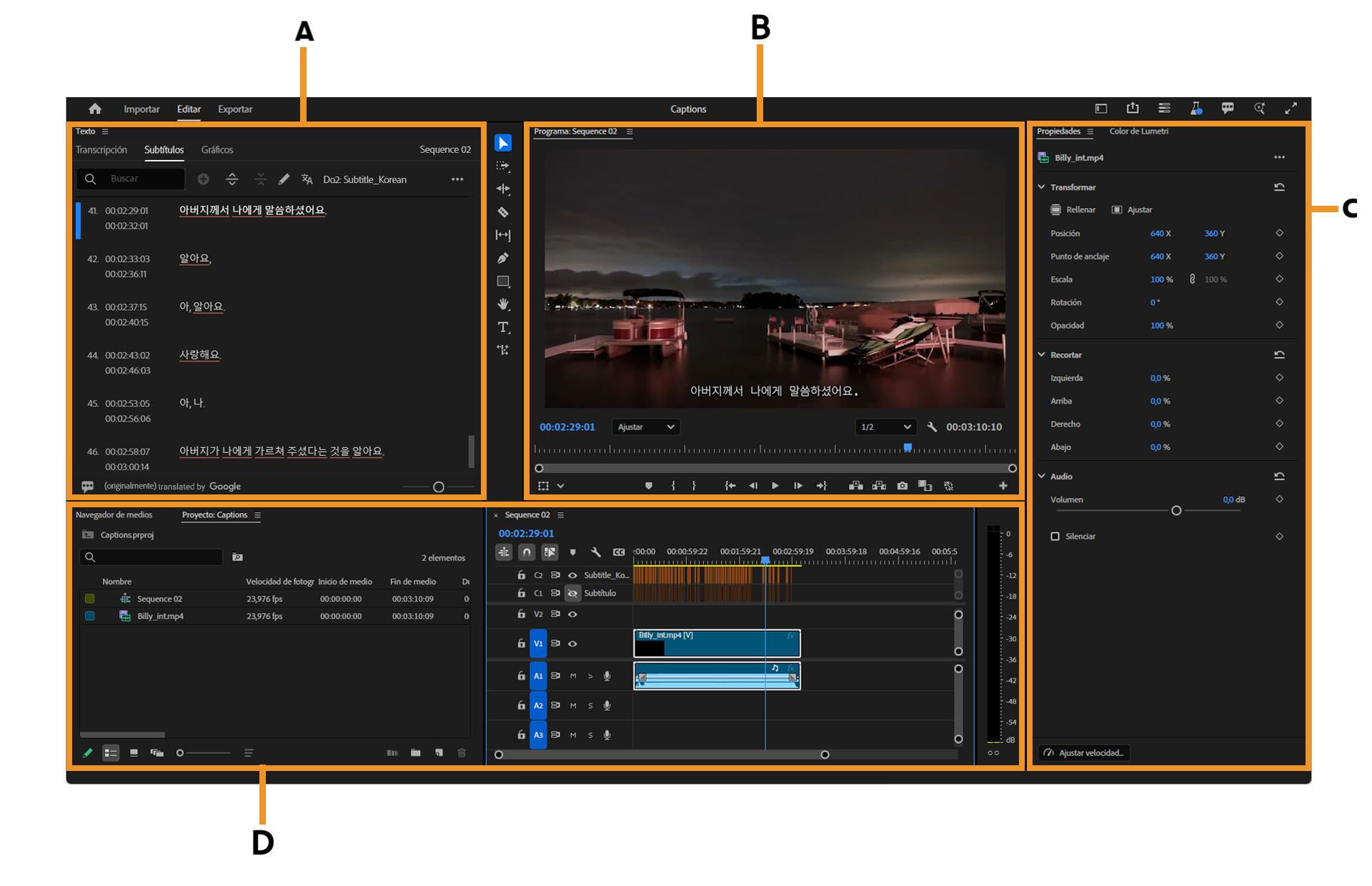 Elementos del espacio de trabajo Subtítulos