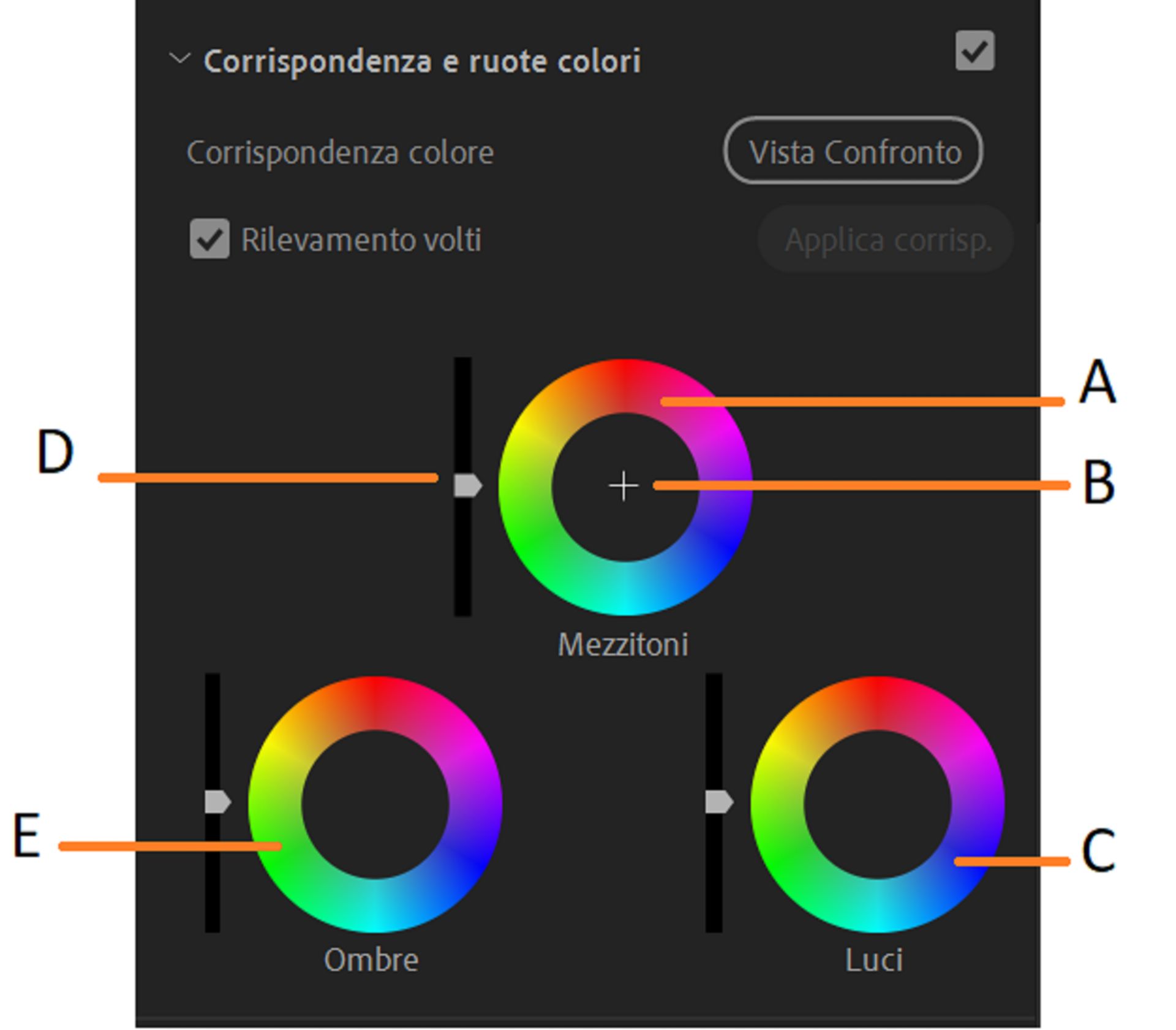 Parti della ruota dei colori