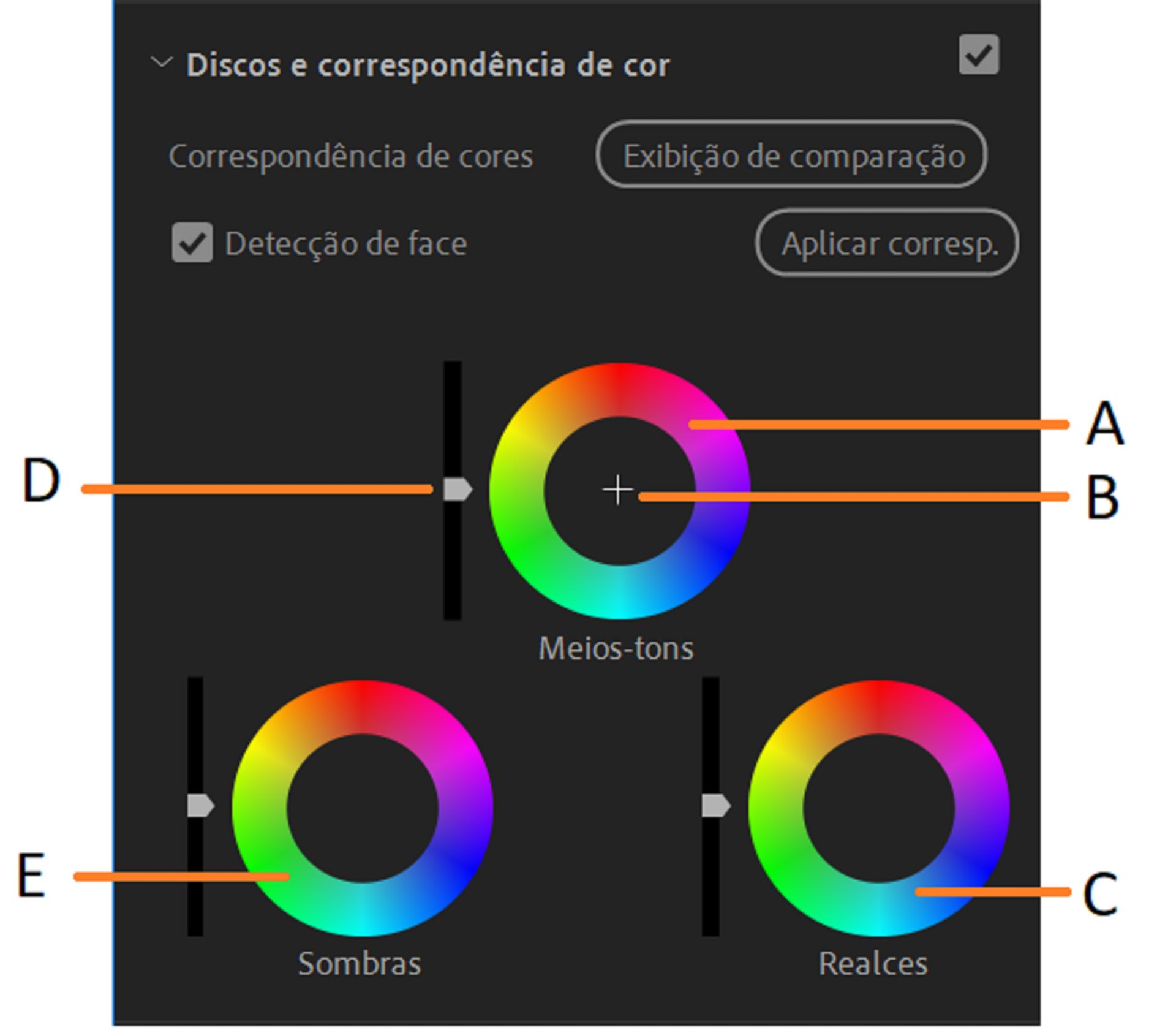 Partes do disco de cor