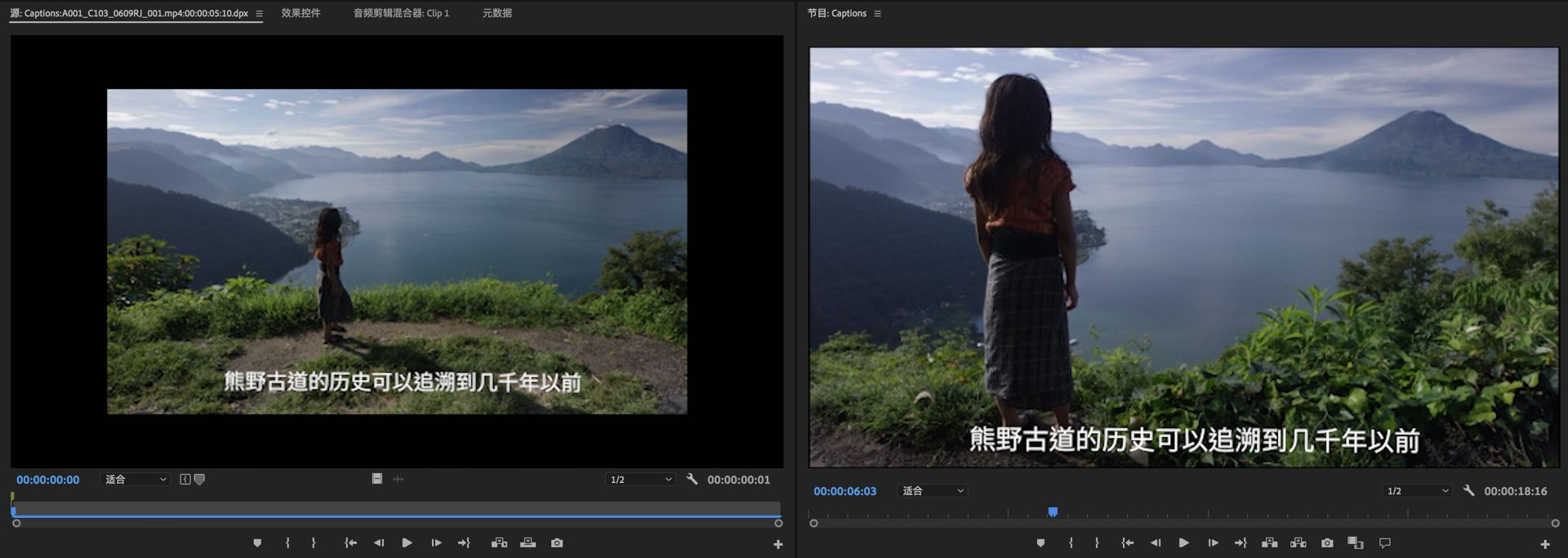 在源监视器和节目监视器中显示隐藏说明性字幕