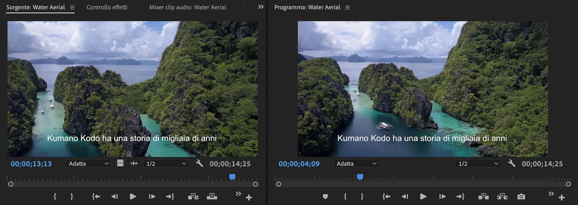 Visualizzazione dei sottotitoli codificati nel monitor Sorgente o Programma