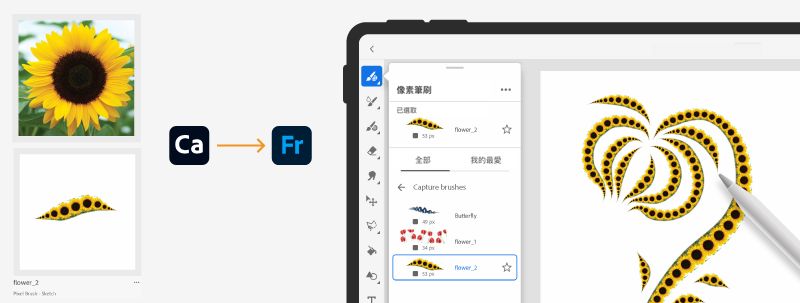 Capture 緞帶筆刷 