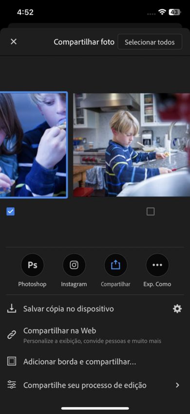 As fotos em uma única visualização de um álbum são exibidas. Selecione o botão Tudo para selecionar todas as fotos de um álbum.