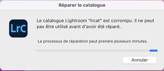 Réparer le catalogue